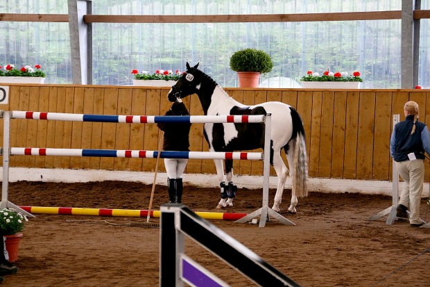 soelrings-comtessa-piccolina