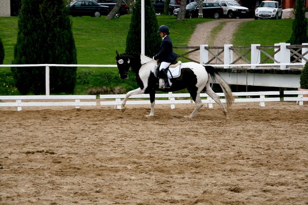 soelrings-comtessa-piccolina