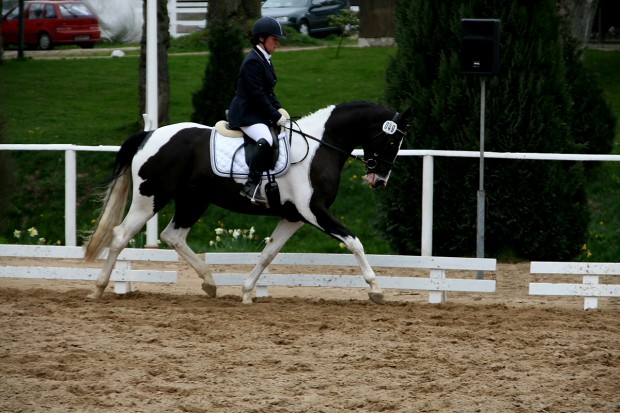 soelrings-comtessa-piccolina