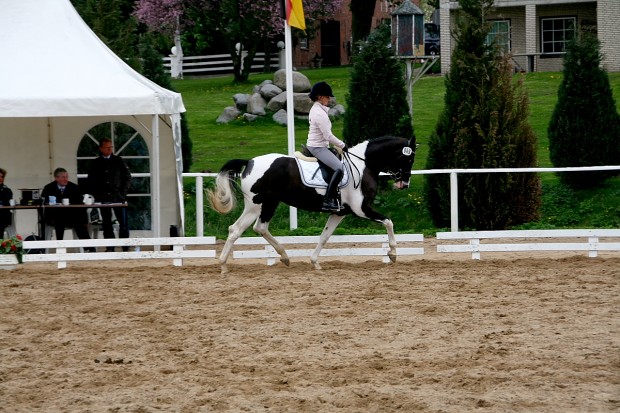 soelrings-comtessa-piccolina