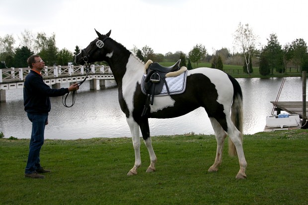 soelrings-comtessa-piccolina