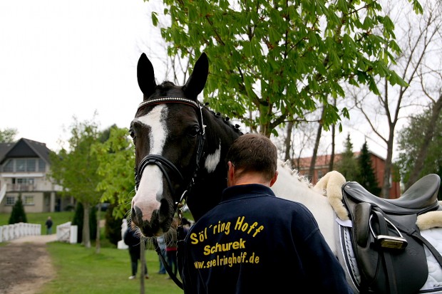 soelrings-comtessa-piccolina