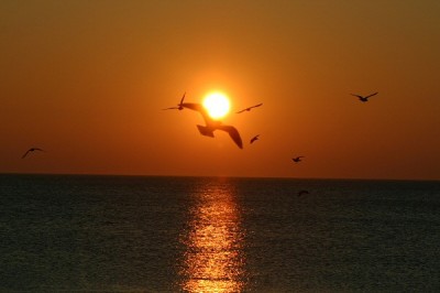 abendstimmung-1