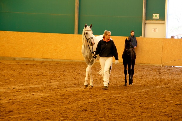 soelrings-classix-rih